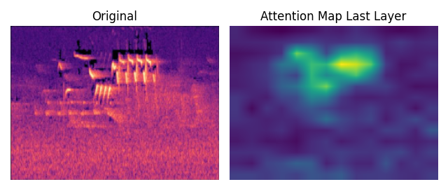 Attention map from Vision Transformer model highlighting important regions of a spectrogram image for bird song classification
