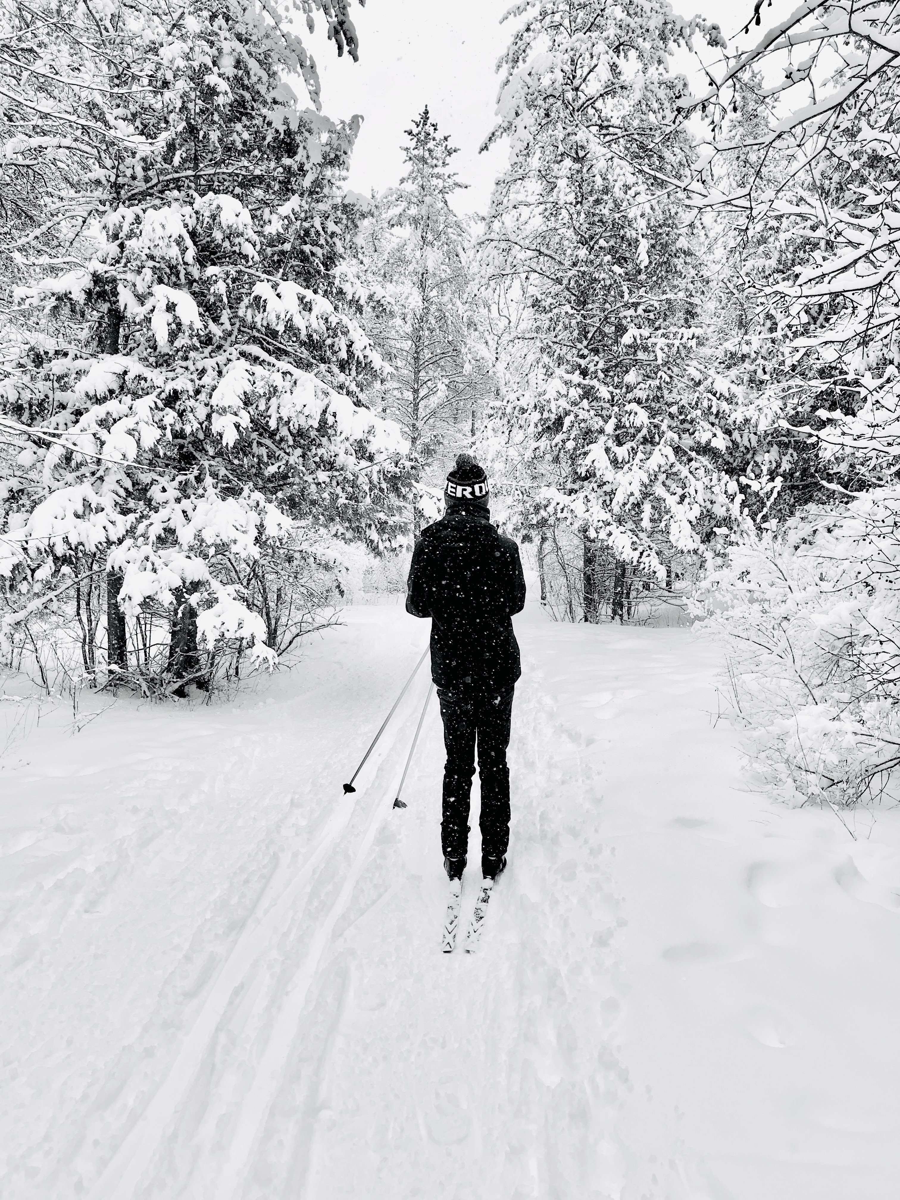 Cross-country skiing, NCC Greenbelt, Ottawa